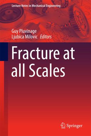 Cover of the book Fracture at all Scales by Massimo Verdoya, Vincenzo Pasquale, Paolo Chiozzi