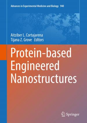 Cover of the book Protein-based Engineered Nanostructures by Jan Douwes Visser