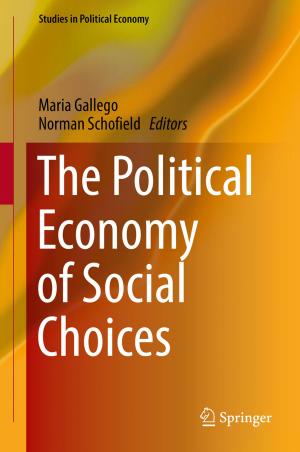 Cover of the book The Political Economy of Social Choices by Mykhaylo P. Savruk, Andrzej Kazberuk