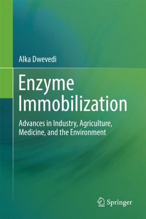 Cover of the book Enzyme Immobilization by Estevão Rafael Fernandes, Barbara M. Arisi