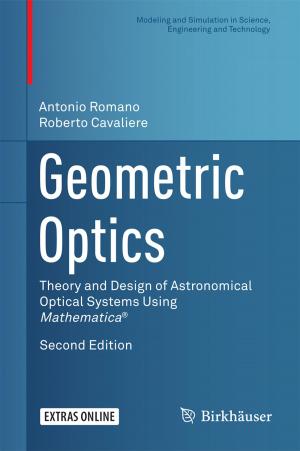 Cover of the book Geometric Optics by Lesley-Ann Giddings, David J. Newman