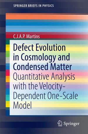 Cover of the book Defect Evolution in Cosmology and Condensed Matter by Jaka Sodnik, Sašo Tomažič