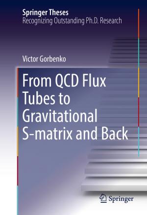 Cover of the book From QCD Flux Tubes to Gravitational S-matrix and Back by 
