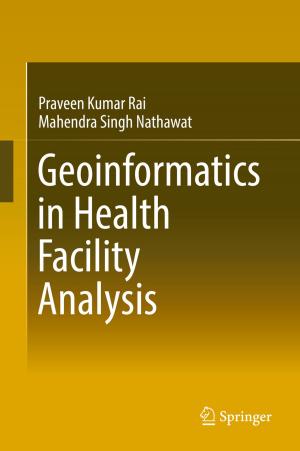 Cover of the book Geoinformatics in Health Facility Analysis by Izabela Steinka, Caterina Barone, Salvatore Parisi, Marina Micali