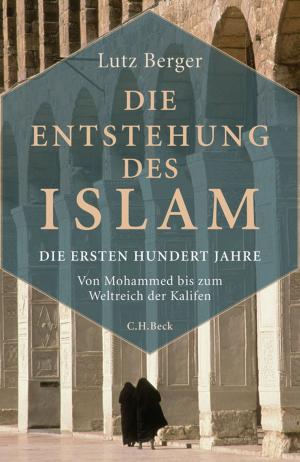Book cover of Die Entstehung des Islam