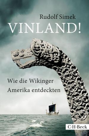 Cover of the book Vinland! by Erik Scherder