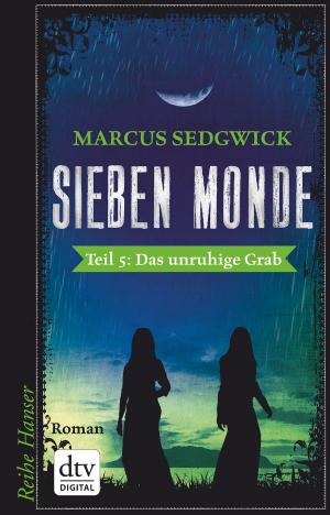Cover of the book Sieben Monde. Das unruhige Grab by Norbert Kron