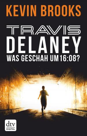 Book cover of Travis Delaney - Was geschah um 16:08?