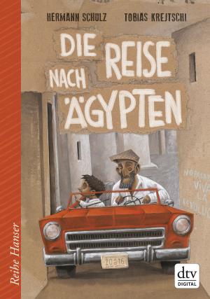 Book cover of Die Reise nach Ägypten