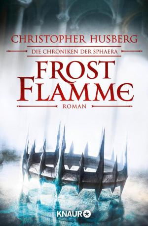 Cover of the book Frostflamme by Iny Lorentz