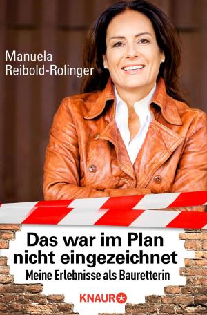 Cover of the book "Das war im Plan nicht eingezeichnet" by Jan Schröter