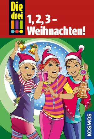 Book cover of Die drei !!!, 1,2,3 - Weihnachten! (drei Ausrufezeichen)