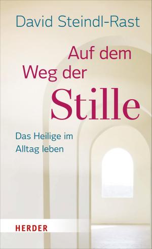 Cover of the book Auf dem Weg der Stille by Daniel Hell