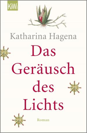 Cover of the book Das Geräusch des Lichts by Thilo Bock