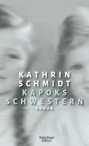 Book cover of Kapoks Schwestern