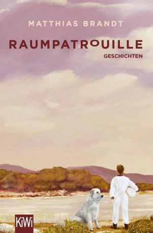 Cover of the book Raumpatrouille by Viveca Sten