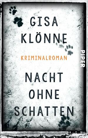 Cover of the book Nacht ohne Schatten by Bernd Schuchter