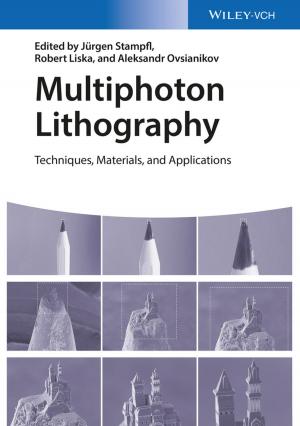 Cover of the book Multiphoton Lithography by Dragan Poljak, Khalil El Khamlichi Drissi