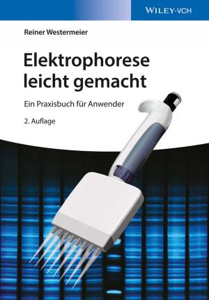 Cover of the book Elektrophorese leicht gemacht by Damiano Brigo, Andrea Pallavicini, Roberto Torresetti