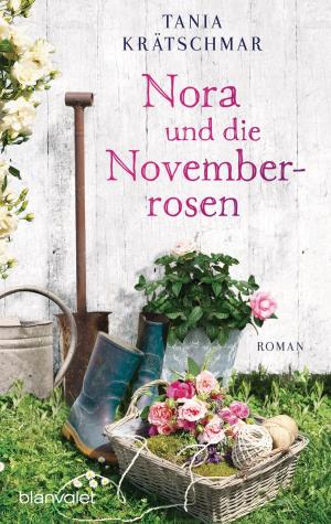 Cover of the book Nora und die Novemberrosen by Raymond Feist, William Forstchen