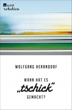 Cover of the book Wann hat es "Tschick" gemacht? by Jonathan Franzen