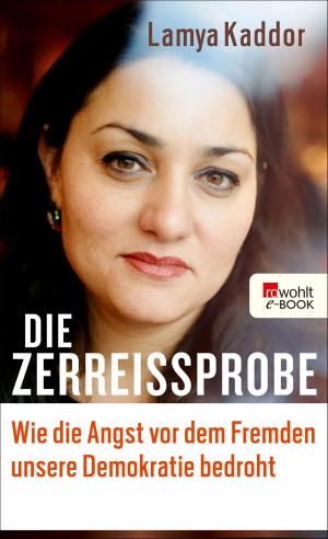 Cover of the book Die Zerreißprobe by Angela Sommer-Bodenburg