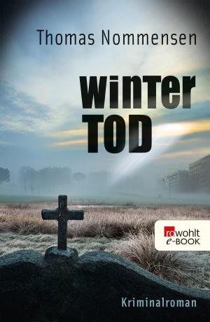 Cover of the book Wintertod by Markus Osterwalder