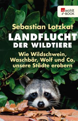Cover of the book Landflucht der Wildtiere by Christoph Schulte-Richtering