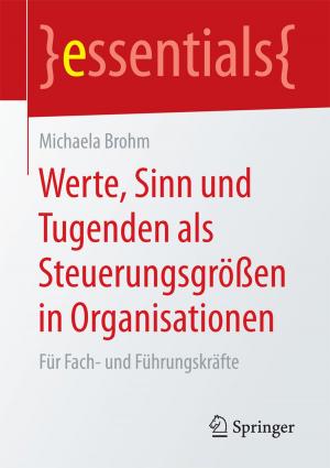 Cover of the book Werte, Sinn und Tugenden als Steuerungsgrößen in Organisationen by Joachim Reiter