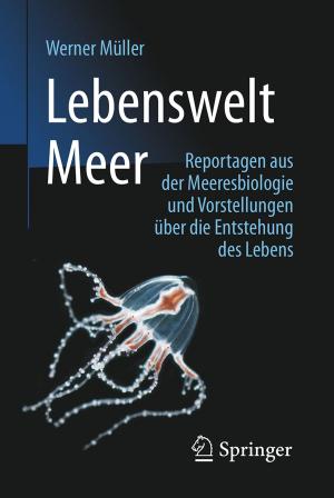 Cover of the book Lebenswelt Meer by Thomas Vormbaum
