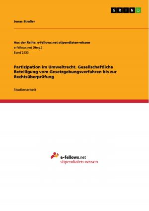Cover of the book Partizipation im Umweltrecht. Gesellschaftliche Beteiligung vom Gesetzgebungsverfahren bis zur Rechtsüberprüfung by Manuel Maag