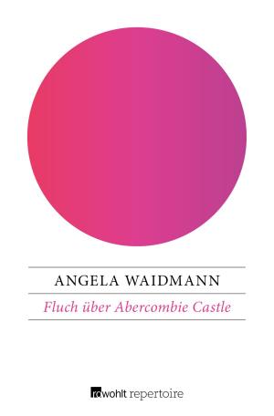 Cover of the book Fluch über Abercombie Castle by Peter Daniels