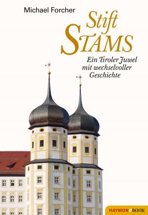 Cover of the book Stift Stams by Jürg Amann