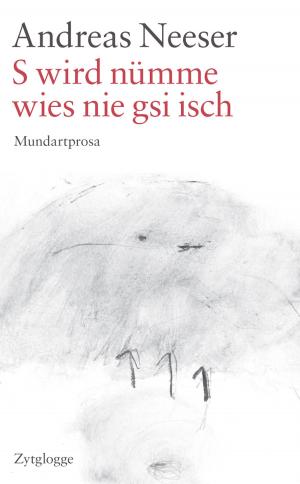 Cover of the book S wird nümme, wies nie gsi isch by Jürg Halter