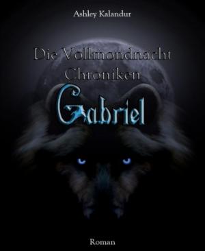 Cover of the book Die Vollmondnacht Chroniken by Ursula Gerber