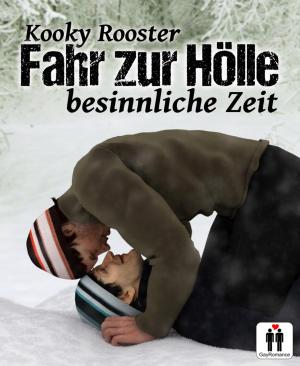 Cover of the book Fahr zur Hölle ... by G. S. Friebel