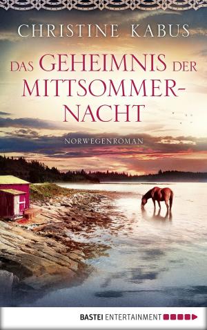 Book cover of Das Geheimnis der Mittsommernacht