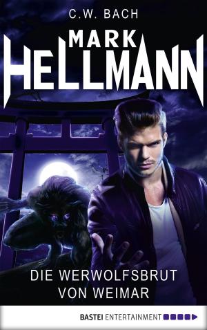 Cover of the book Mark Hellmann 15 by Ann Granger