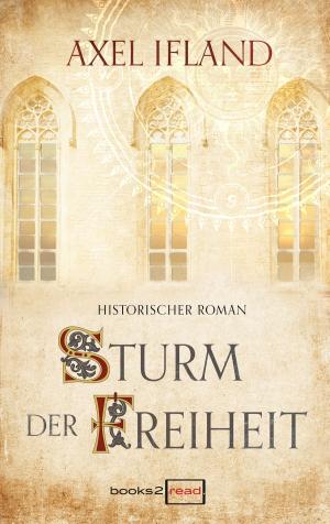 Cover of the book Sturm der Freiheit by Dagmar Hansen
