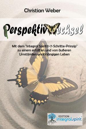 Cover of the book PERSPEKTIVWECHSEL by Anthony J. M. Brady