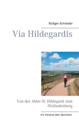 Cover of the book Via Hildegardis by Werner Götz