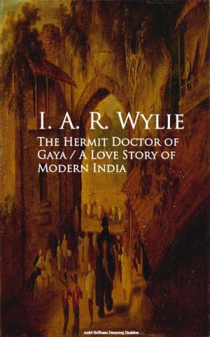 bigCover of the book The Hermit Doctor of Gaya: A Love Story of Modern India by 