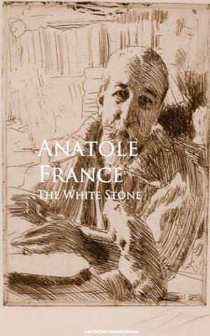 Book cover of The White Stone