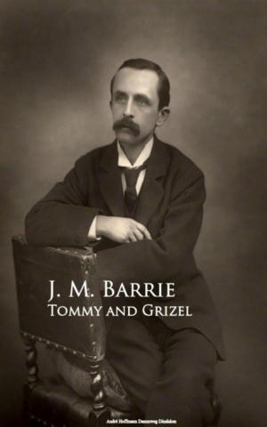 Cover of the book Tommy and Grizel by L. Frank Baum