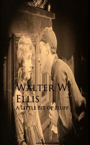 Cover of the book A Little Bit of Fluff by William Hazlitt