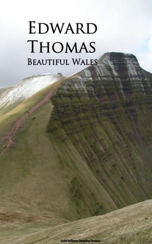 Cover of the book Beautiful Wales by Arthur E.P. Brome Brome Weigall