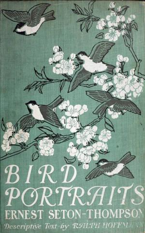 Book cover of Bird Portraits