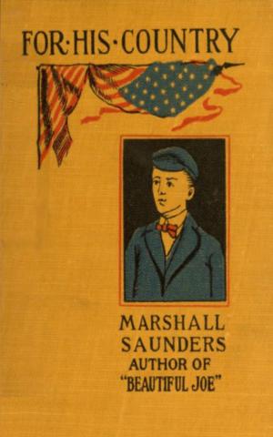 Cover of the book For His Country by Edmund G. Gress
