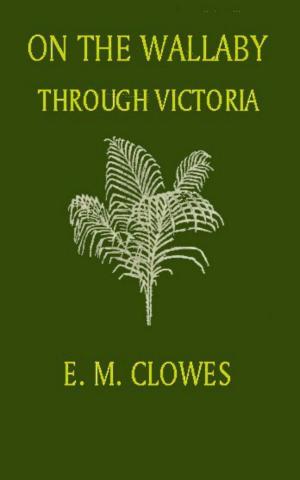 Book cover of On the Wallaby through Victoria
