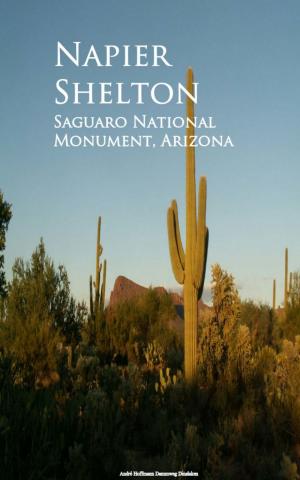 Book cover of Saguaro National Monument, Arizona